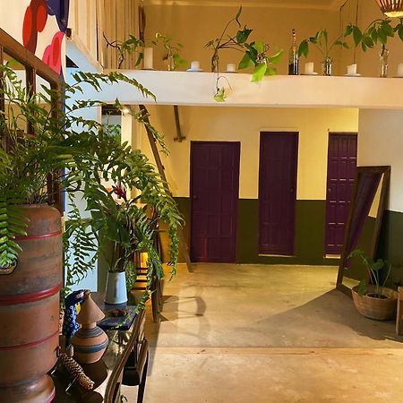 Teiu Hostel Транкозо Екстериор снимка
