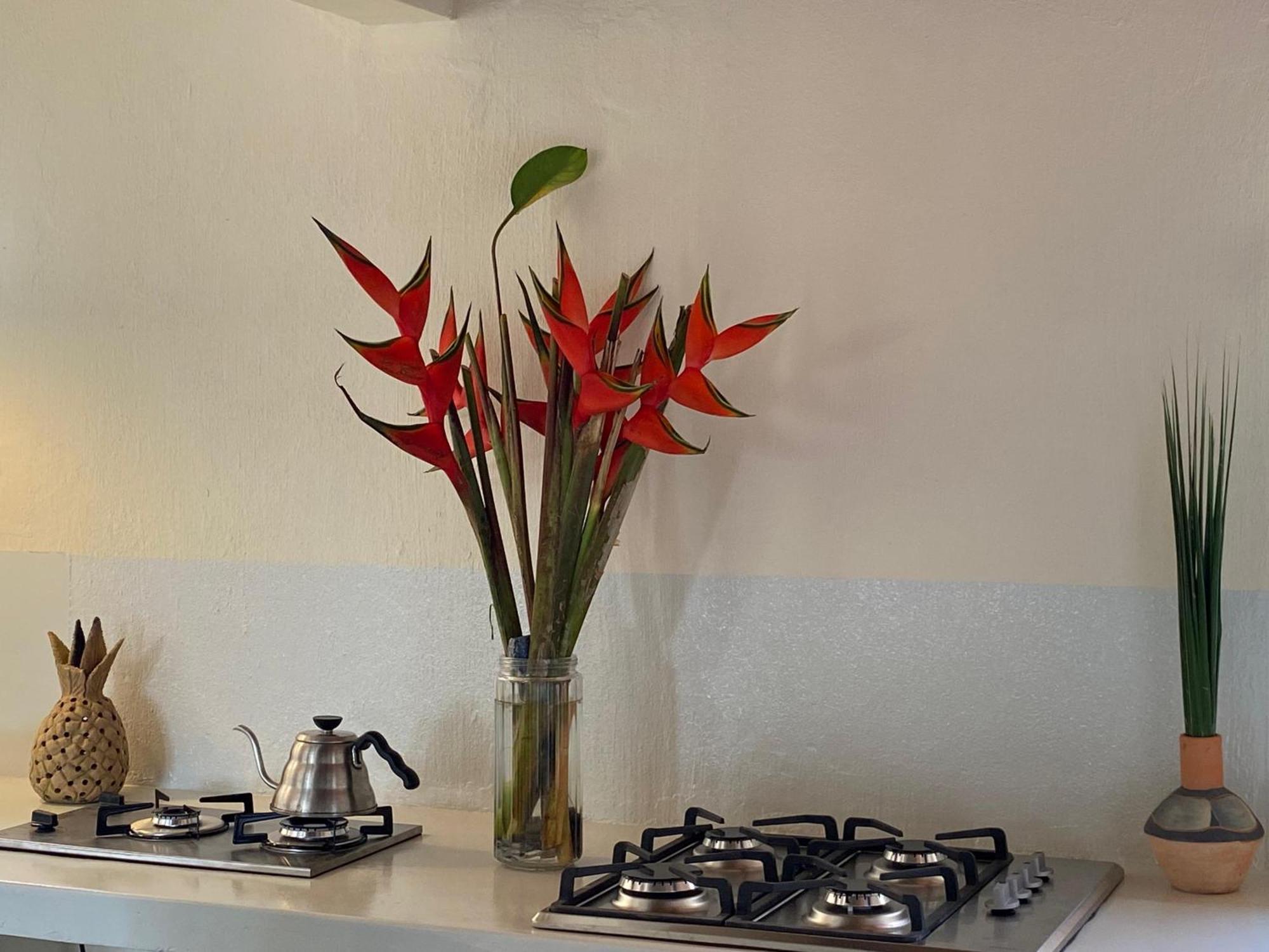 Teiu Hostel Транкозо Екстериор снимка